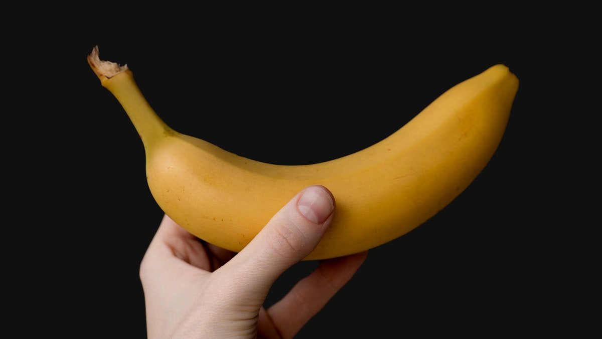 Hand with a sports watch holding a ripe banana, the classic answer to is a banana good before a workout