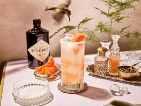 Gin Cocktails