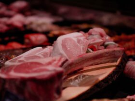 How Modern Beef Production Balances Quality, Care, and Transparency 